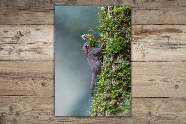 Alumini Metal Print - Minimalistisch