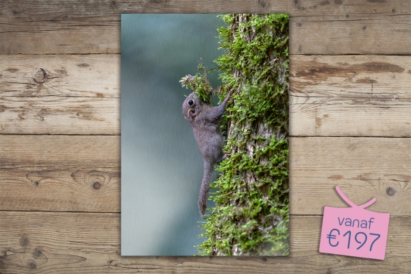 Alumini Metal Print - Minimalistisch