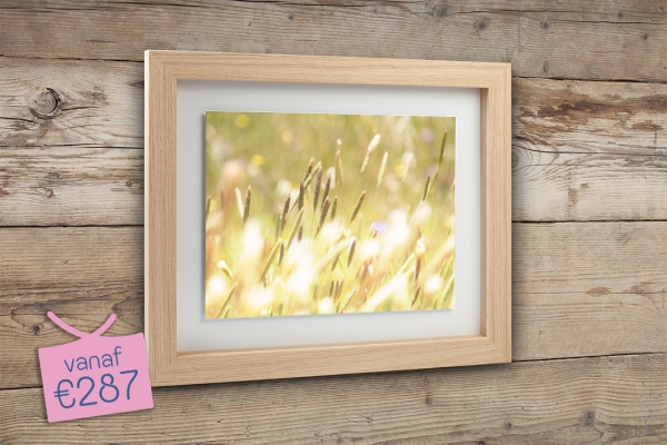 Fine Art Float - Gallery look