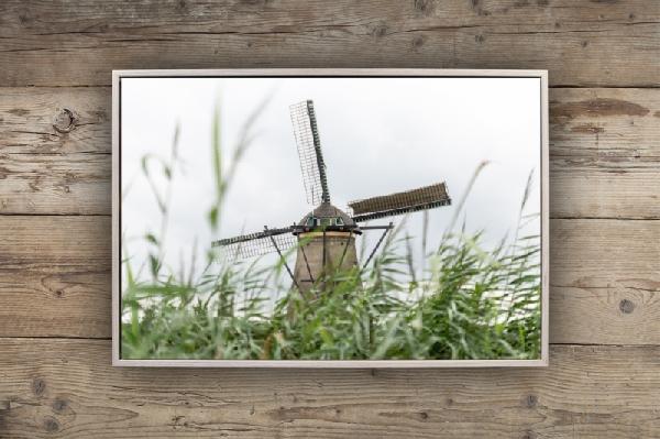 De kracht van het materiaal voor de foto | Metallic Print Dibond met wit frame